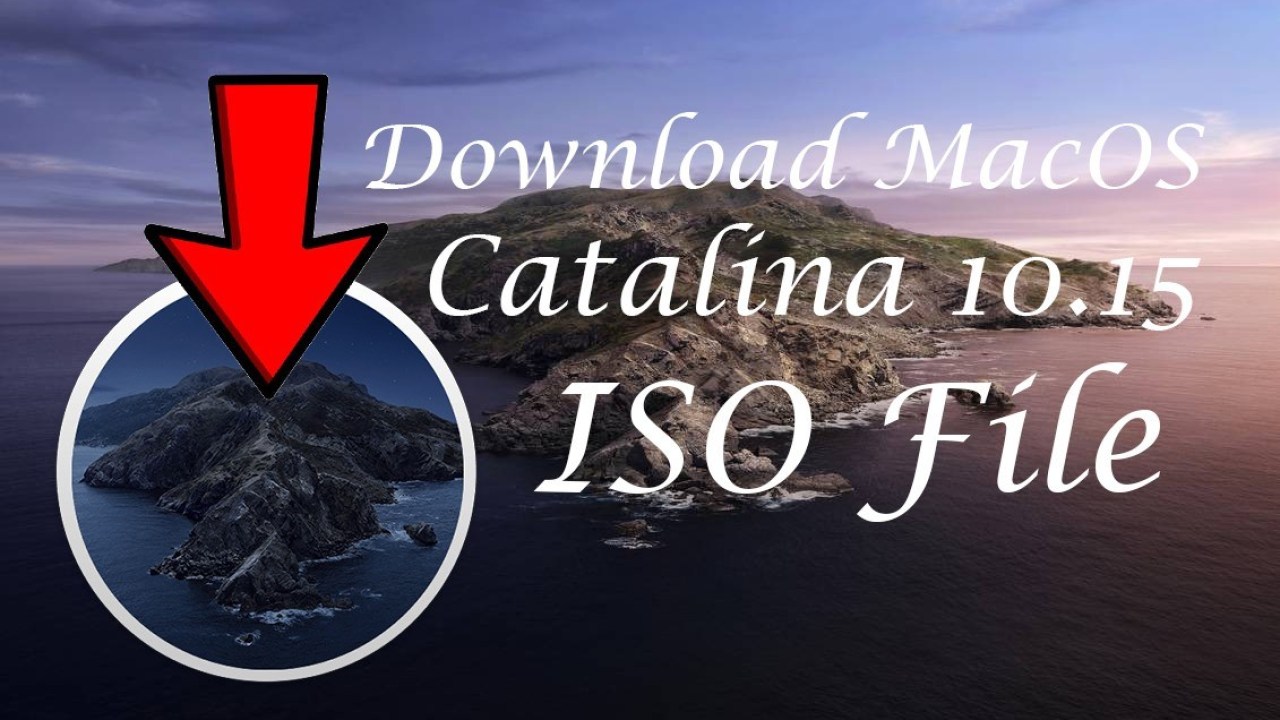 microsoft update for mac catalina